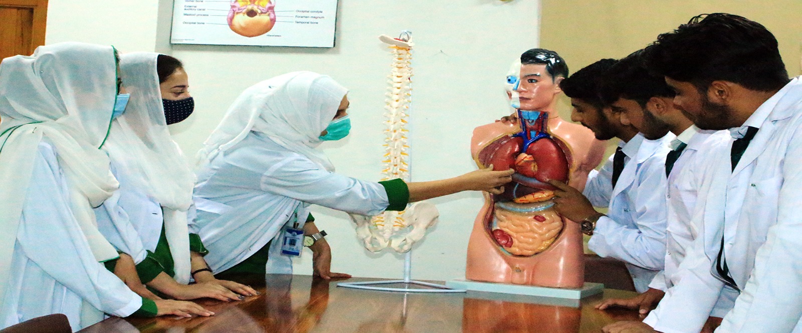 From Anatomy to Ability