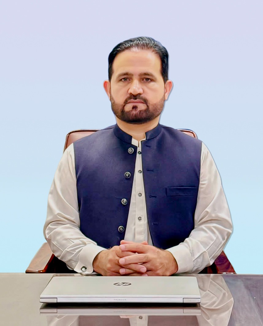 Vice Principal